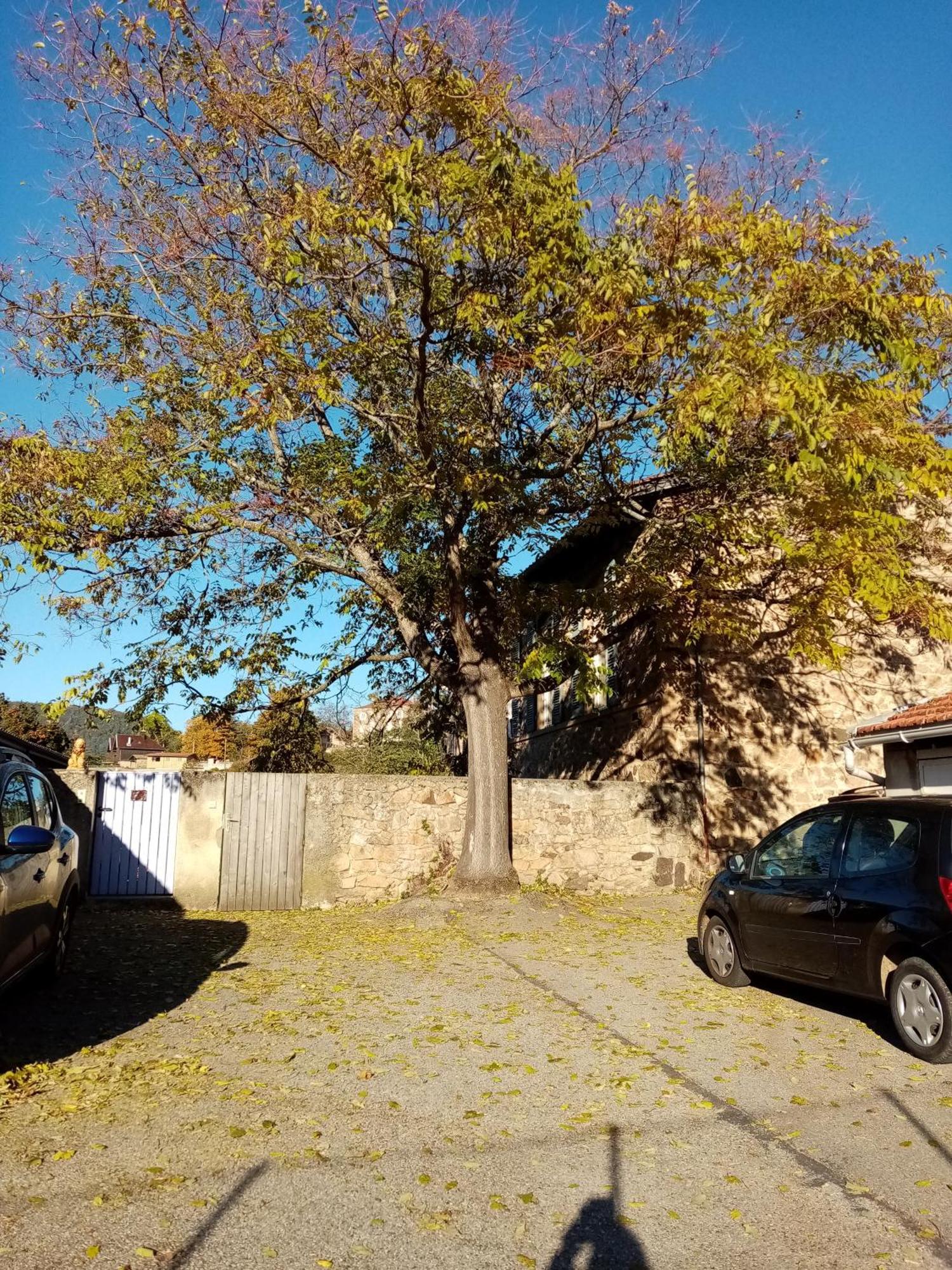 Charmant Gite Avec Parking Gratuit Sur Place. Davézieux Exterior foto
